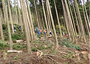 狩野地区森林環境保全整備事業